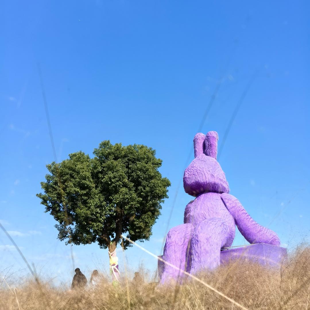 最熟悉的陌生人