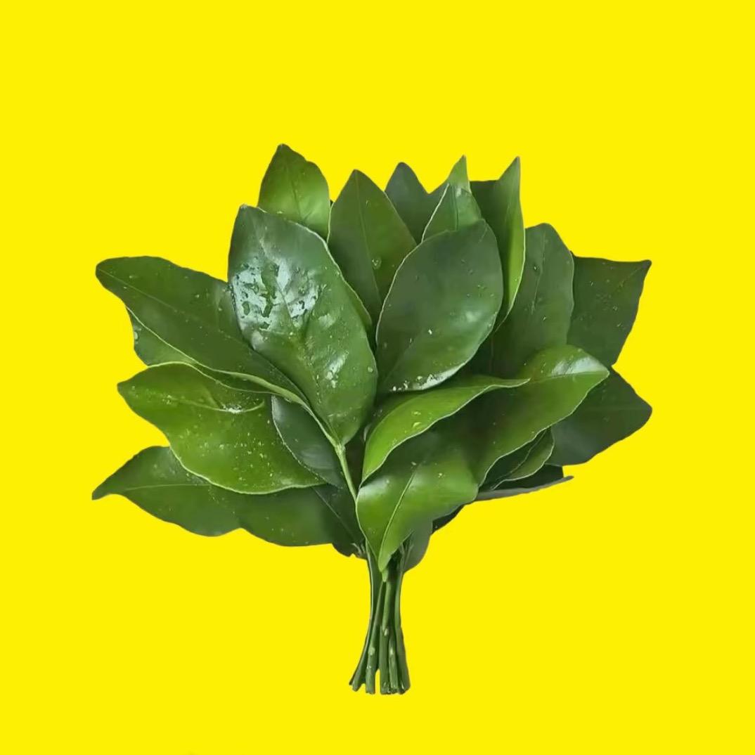 恩惠的惠