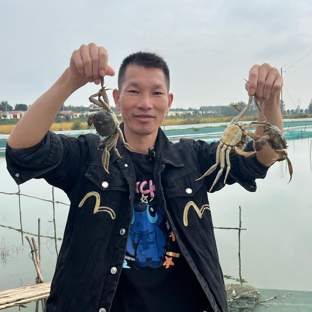 宿有千香霸王蟹现场直播