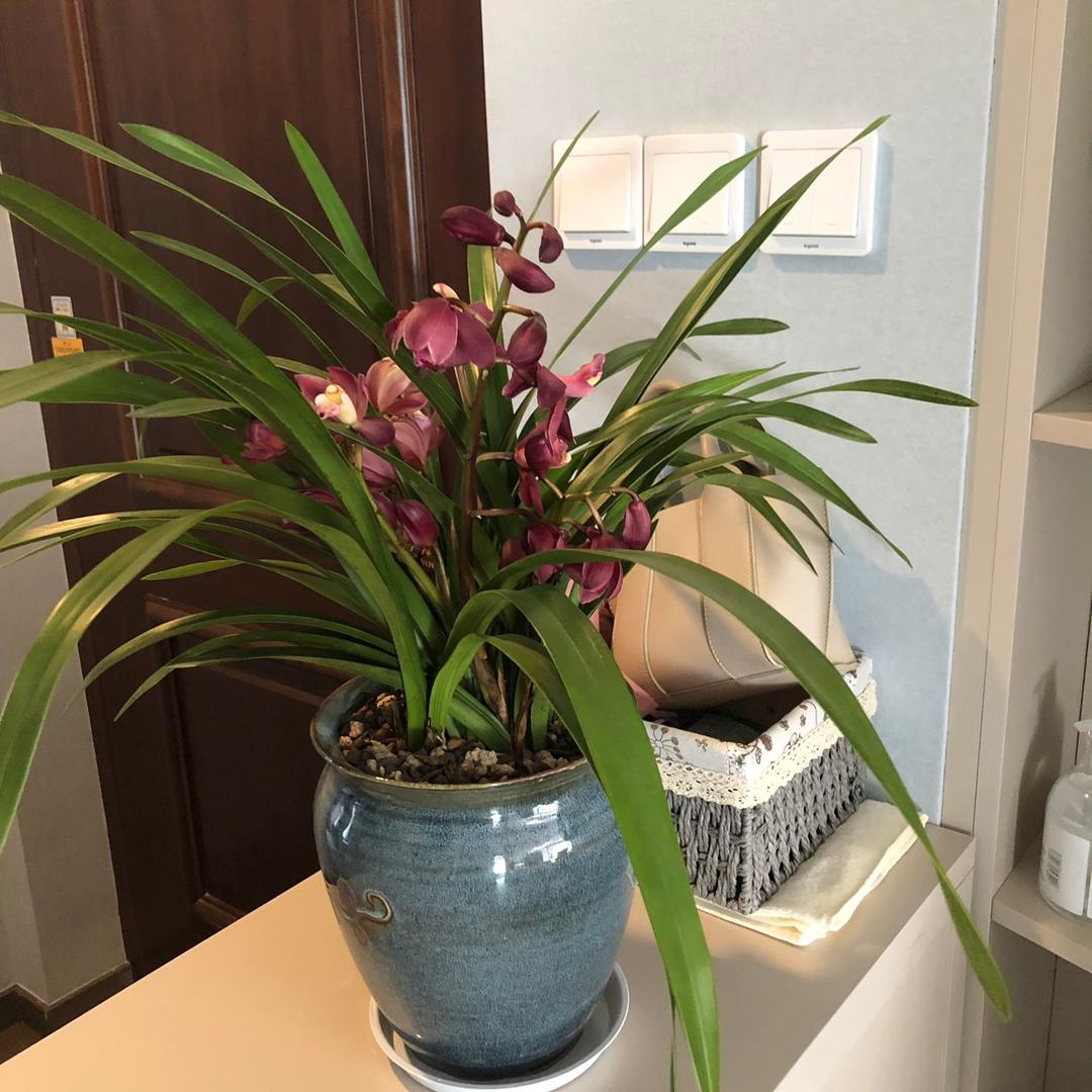 幸福只因有你们