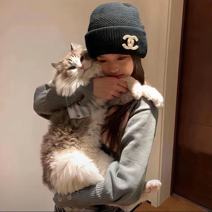 花心大萝卜（疯狂追剧版