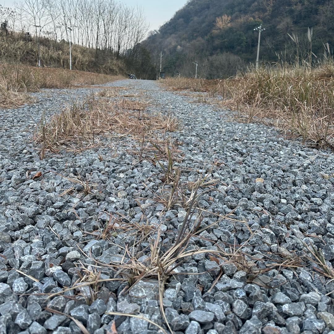田哥🧑‍🏫制谱作曲