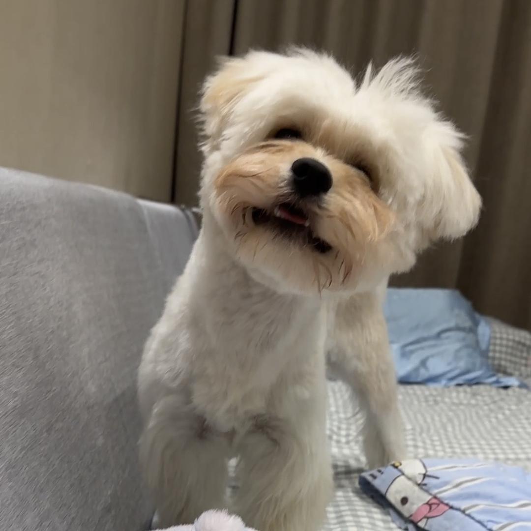 佳佳今天吃什么