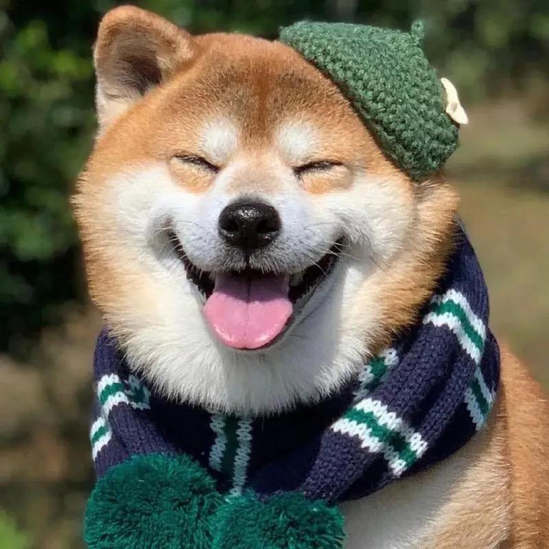 农品百物