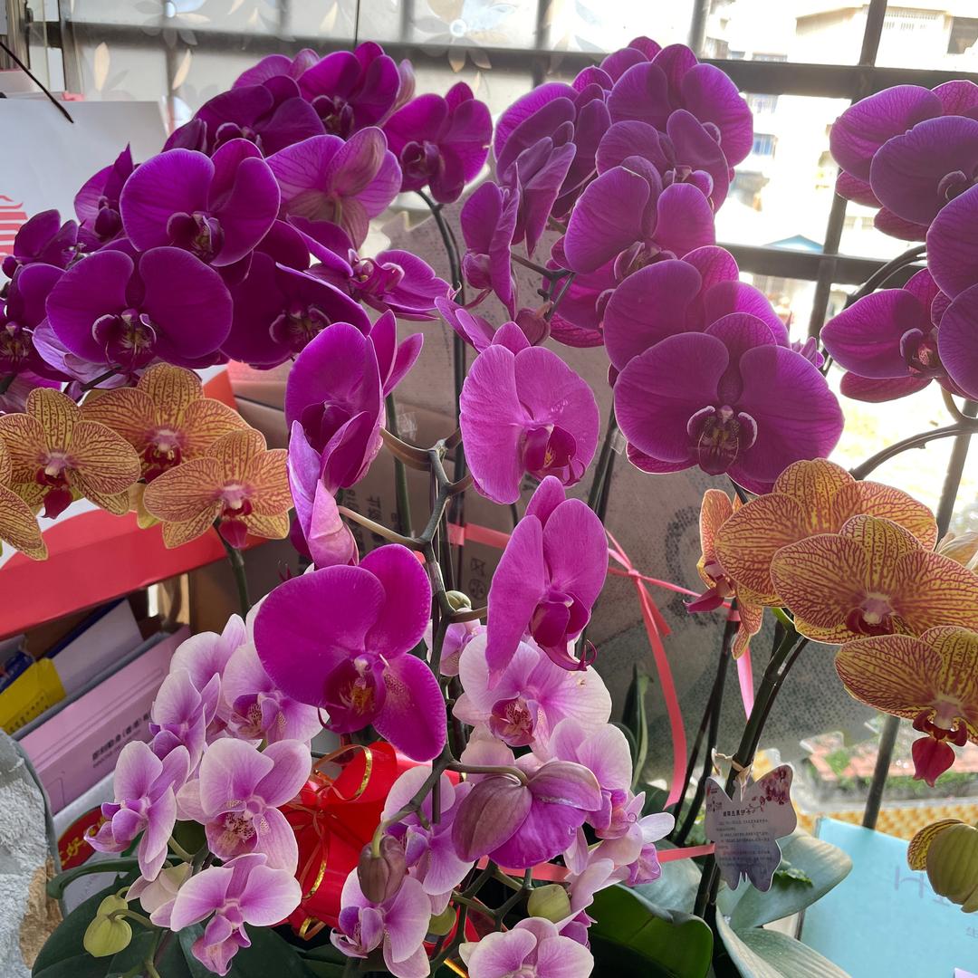 猪🐷宝宝👶🏻