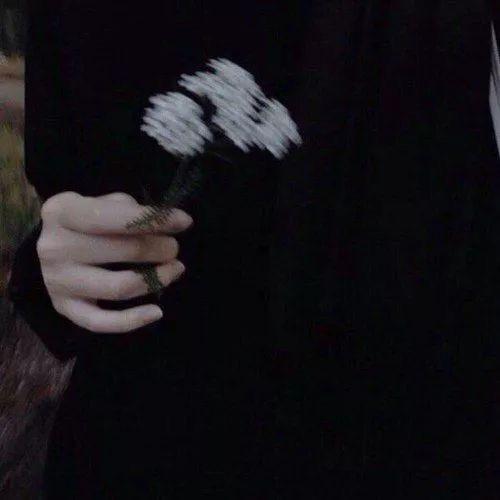 kkdaixie