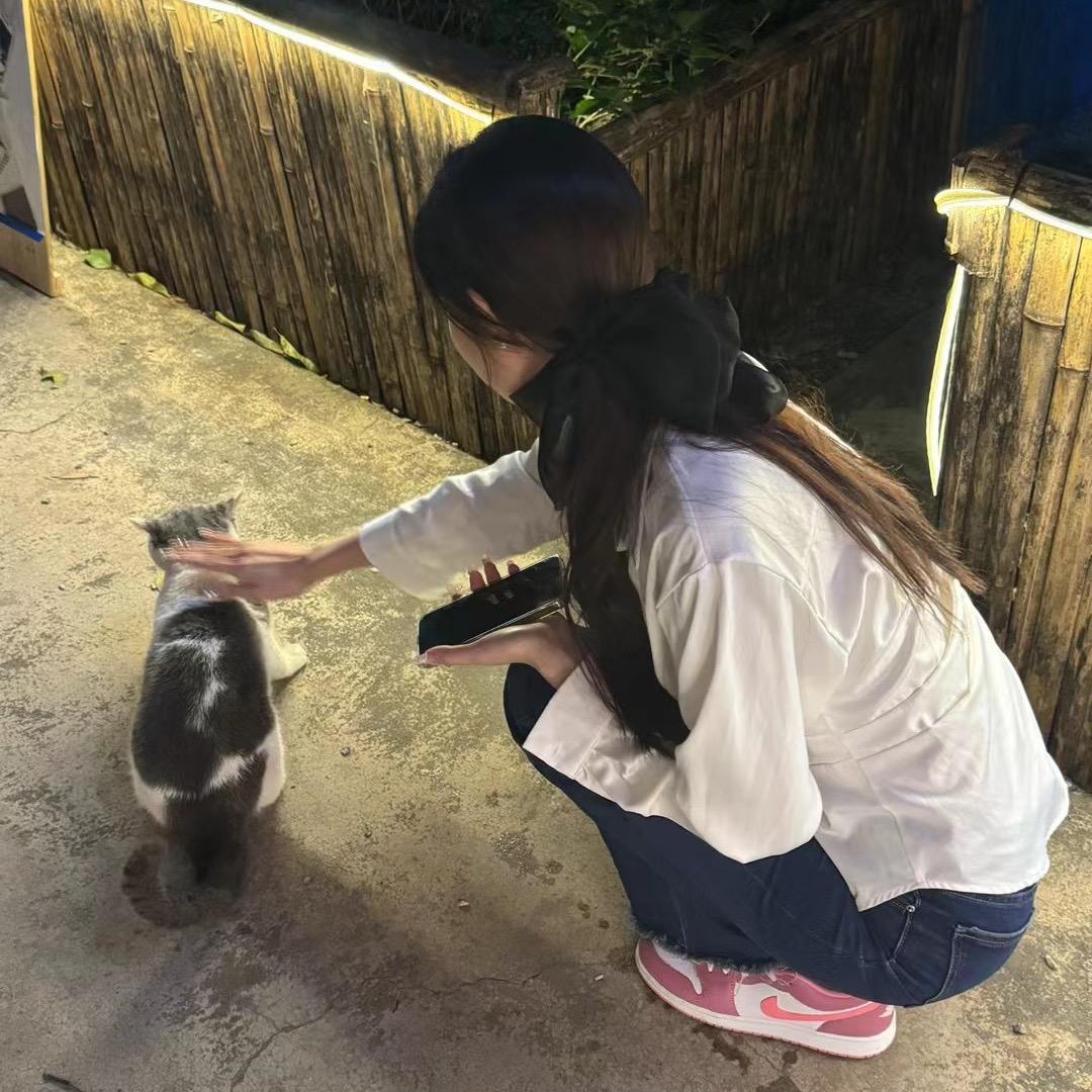 哇哈哈😄