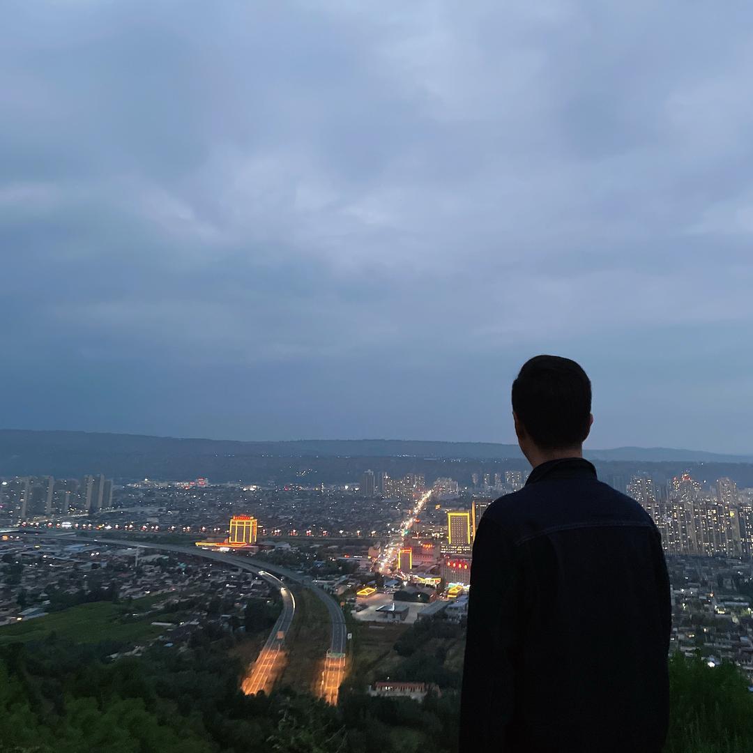 我已无力徘徊
