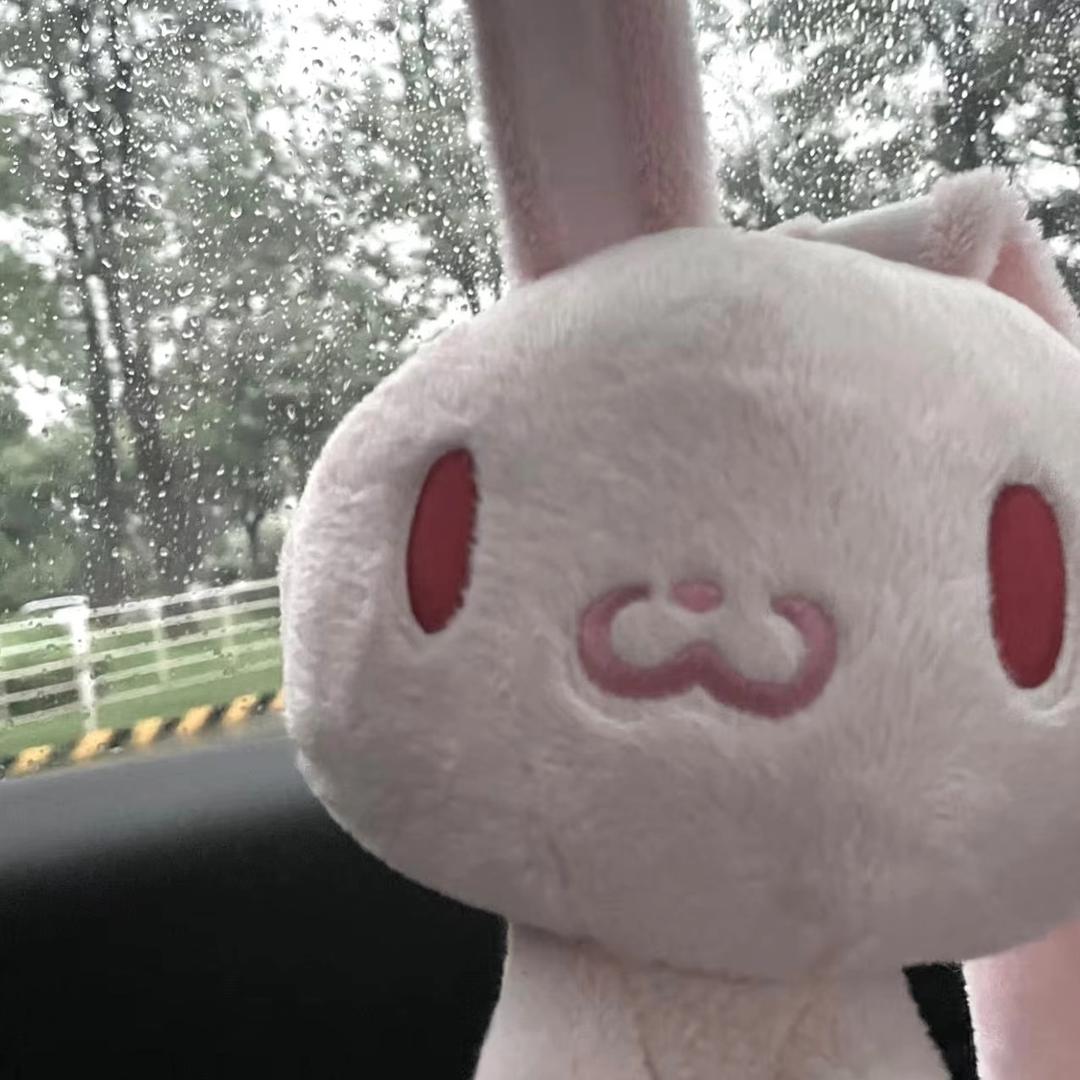 蛋崽～