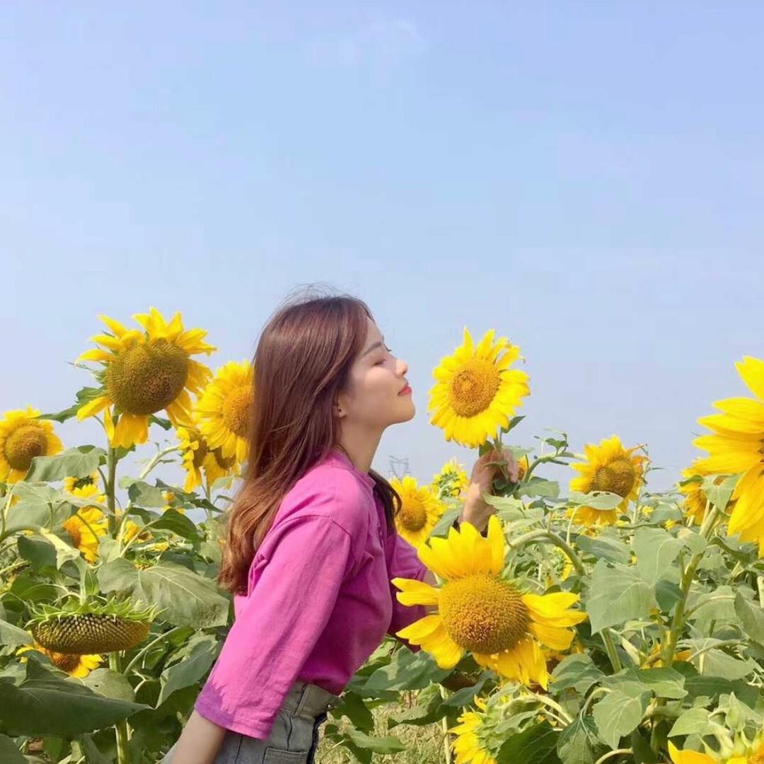 懒懒的思”