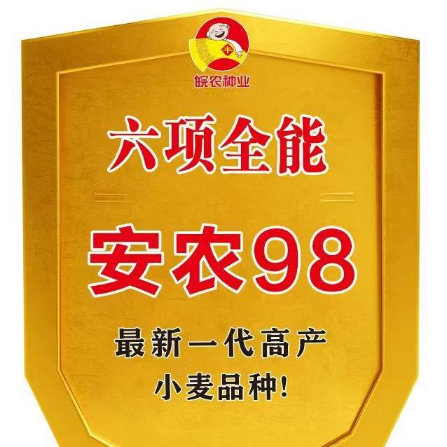 安农98营销6部