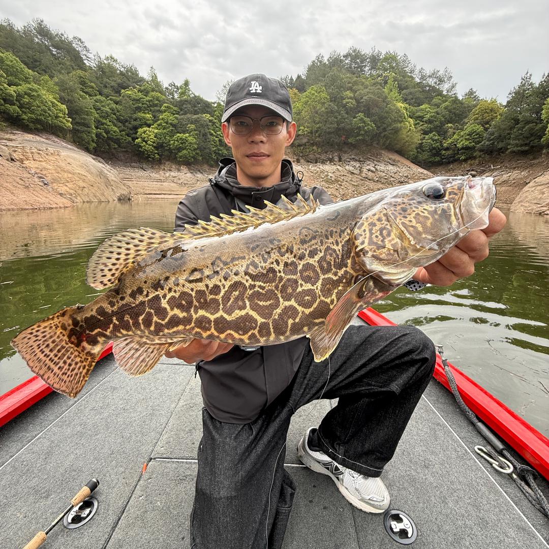 是龙龙💥（导钓）