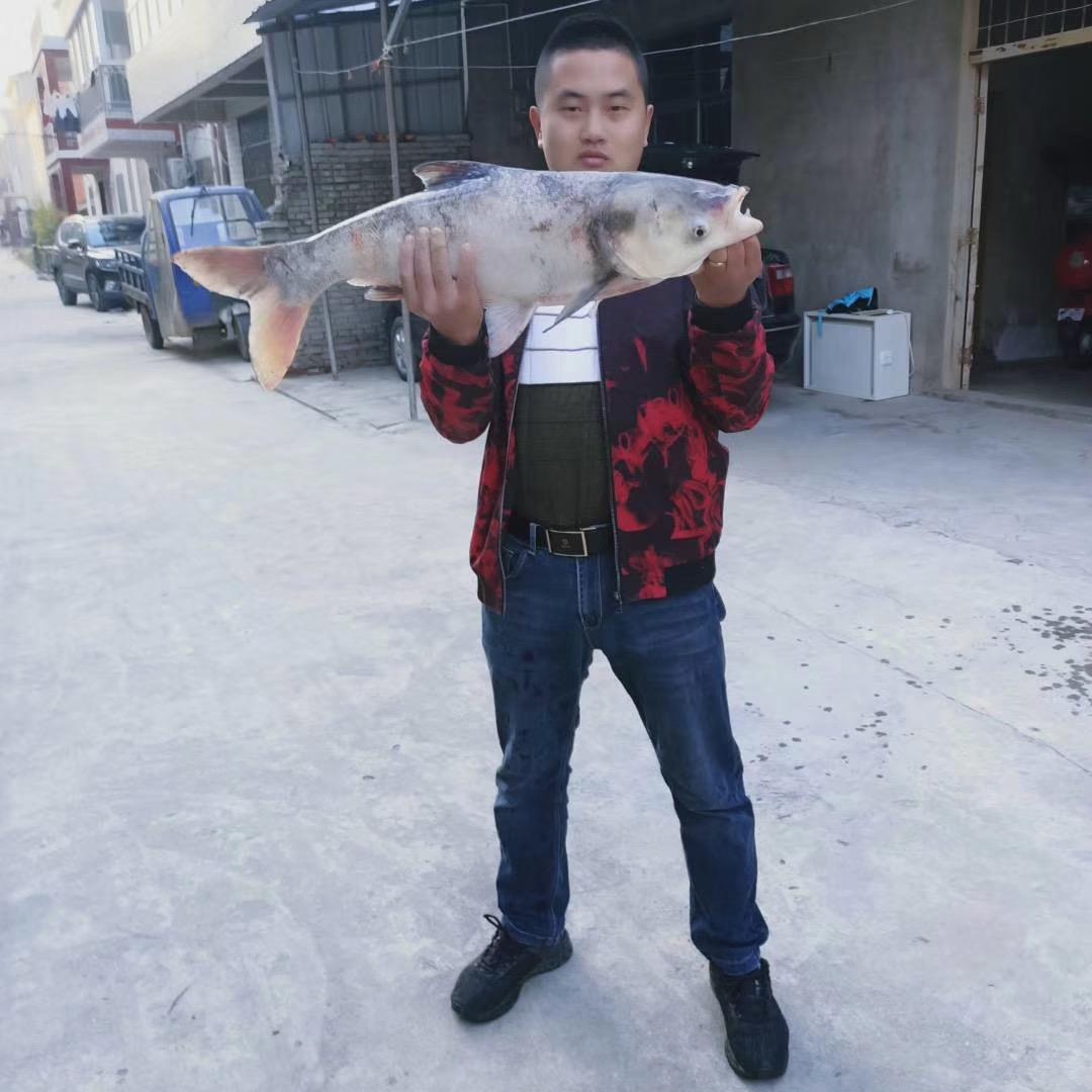 🎣缺氧的鱼🐟