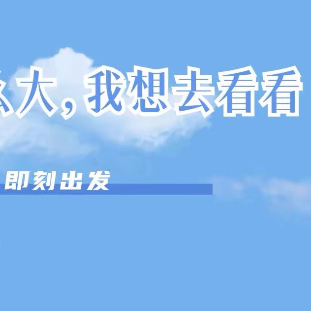 老杨