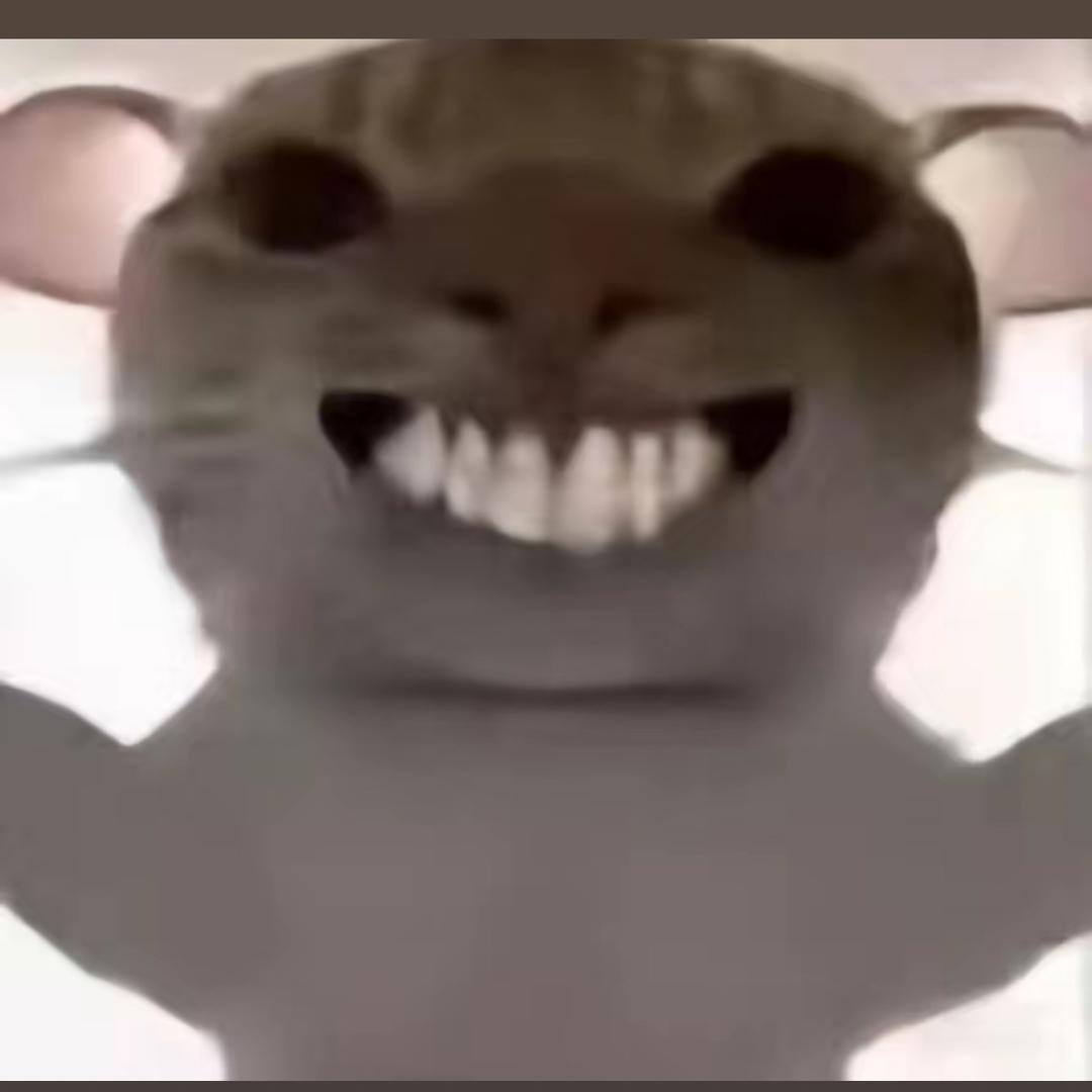 小花（三角洲行动）