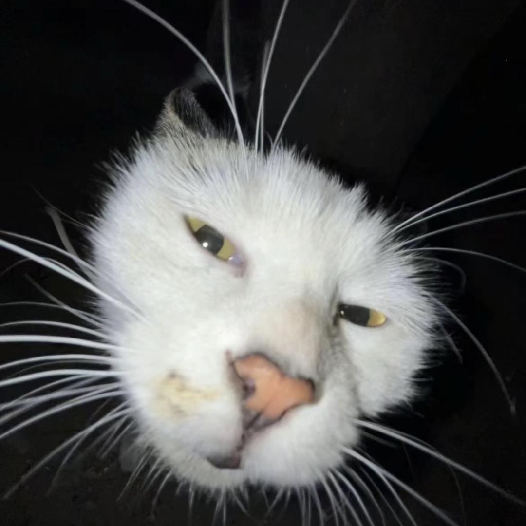 ….