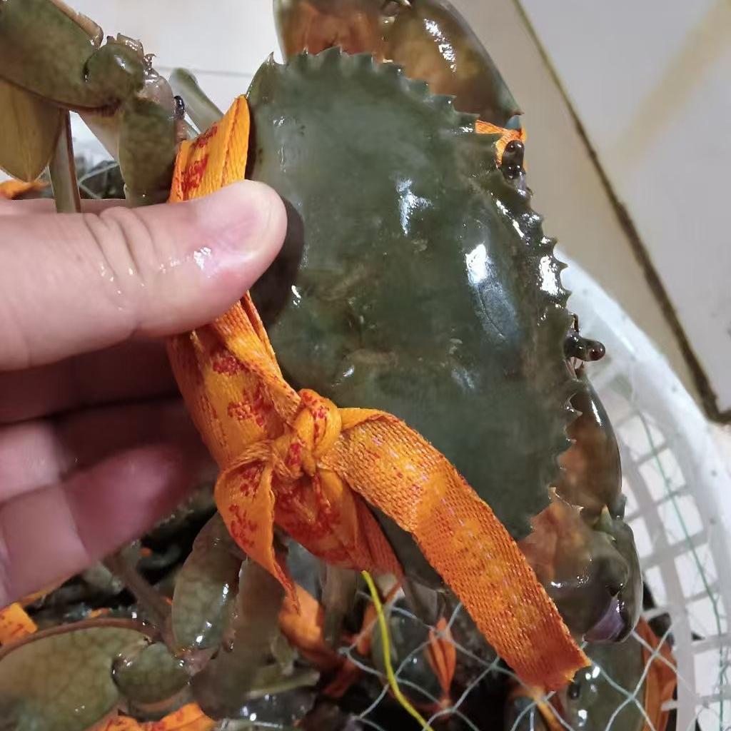 刘兵海产品官方号