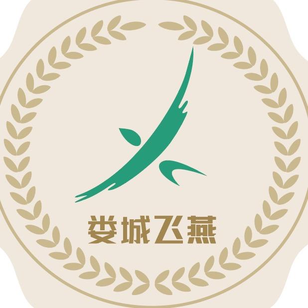 娄城飞燕思想汇