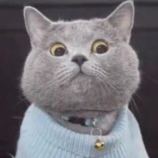 三岁就是玩儿