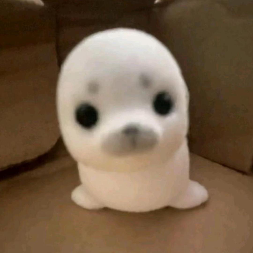 AAAA专业套狗师傅
