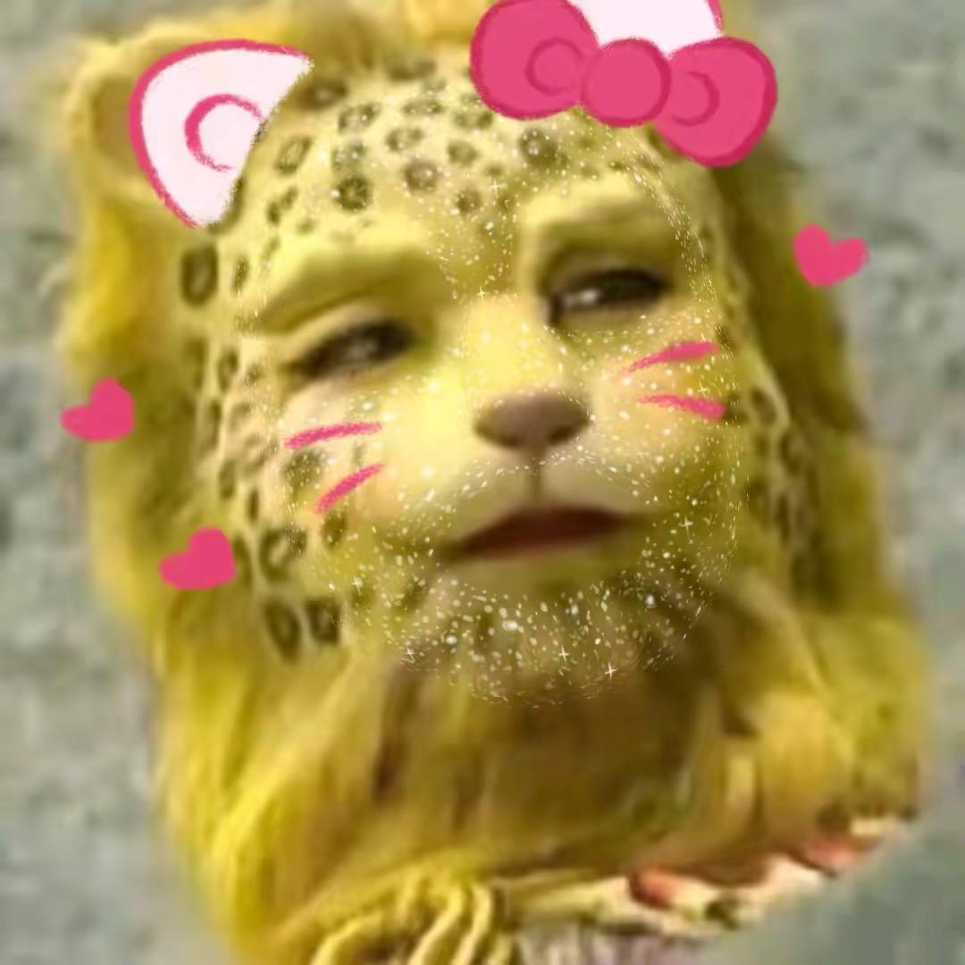 赢了一百块🧚‍♀️头像