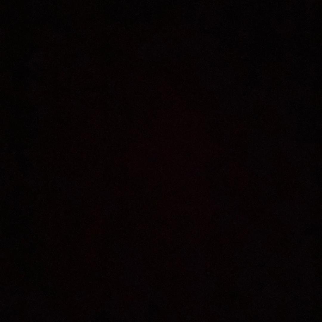 忧伤的哈士奇