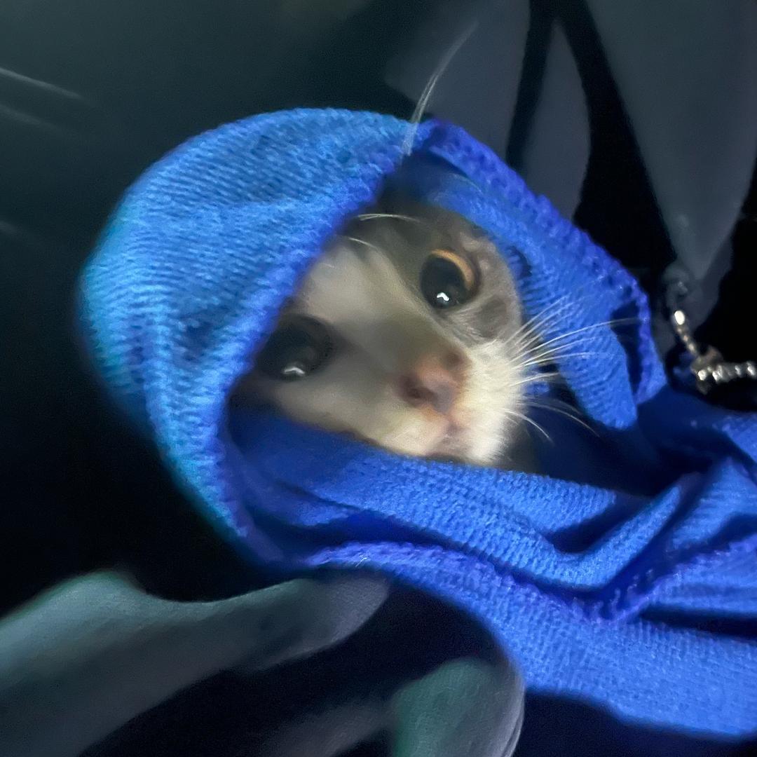 六七月七六（求推荐版）