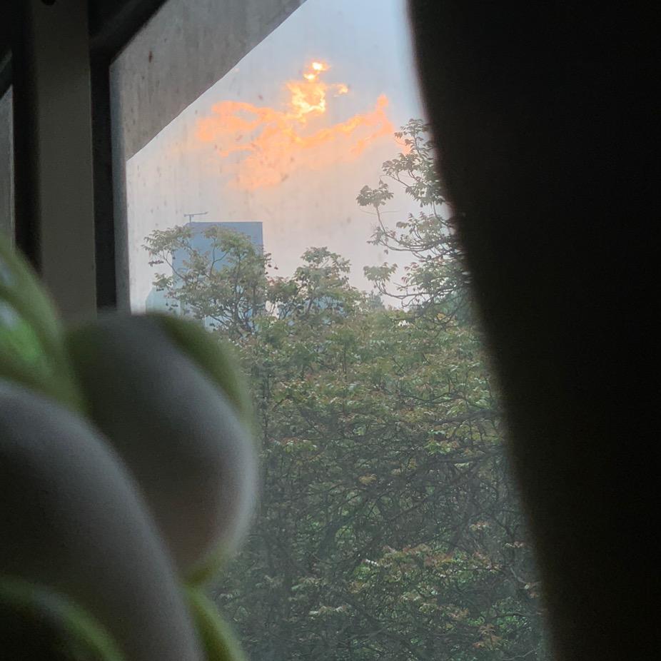 林更新不是我