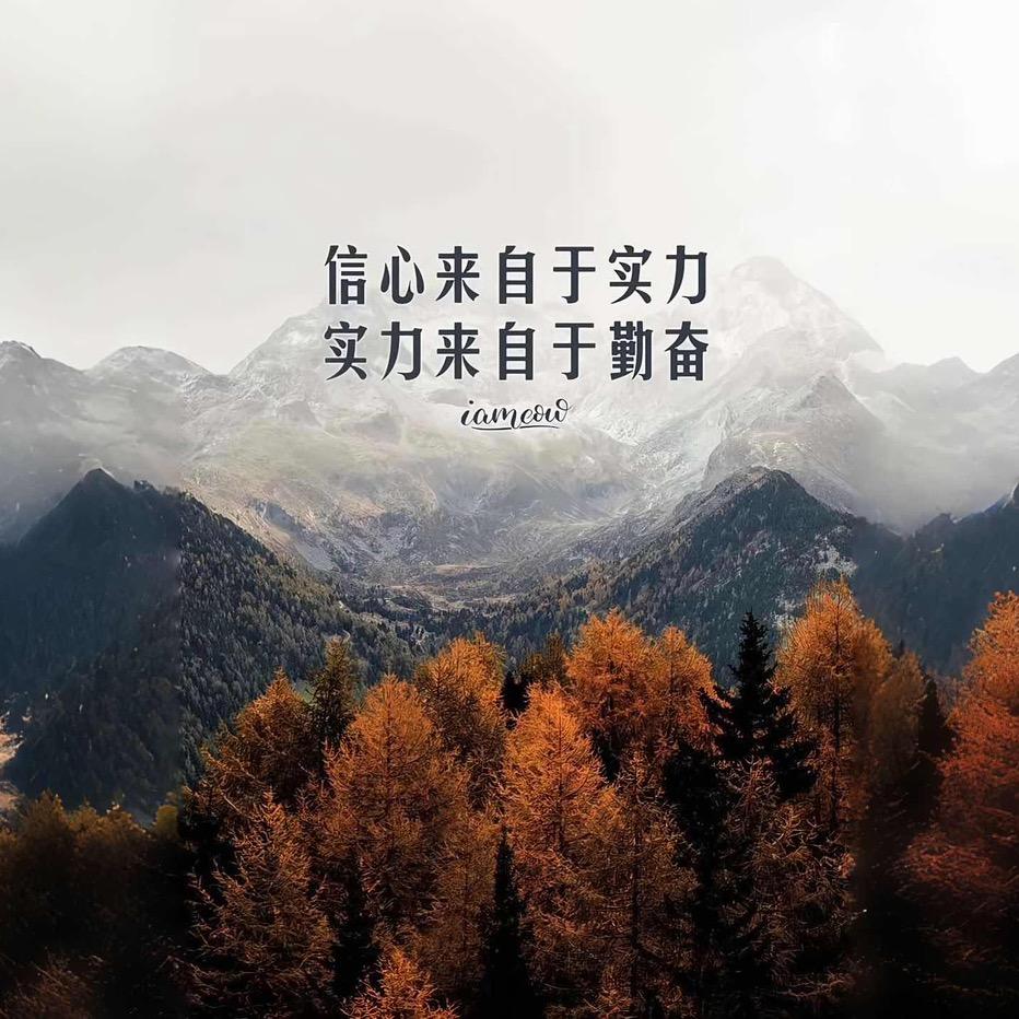 你飞哥