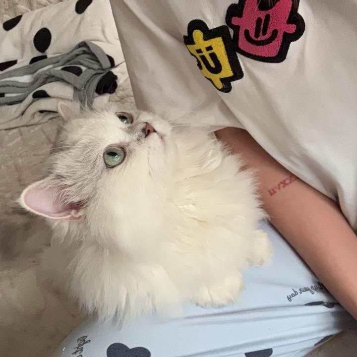 国宝今天在干嘛🐼