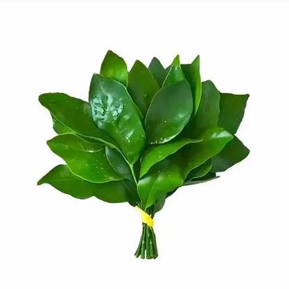 等等邓邓