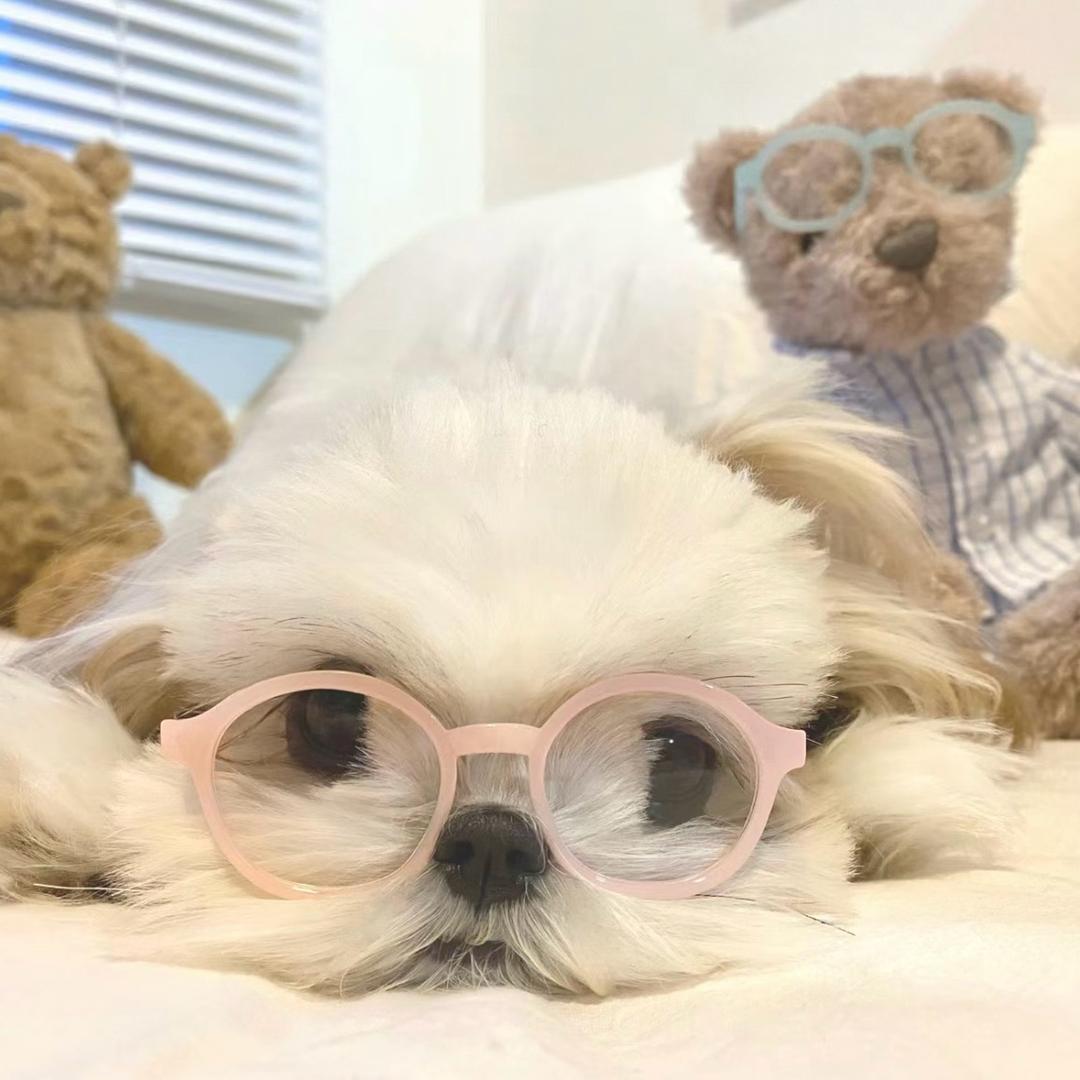 绵绵（看过fnds810澳尾版）