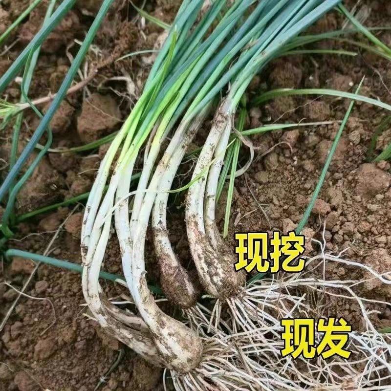 山里农品小铺