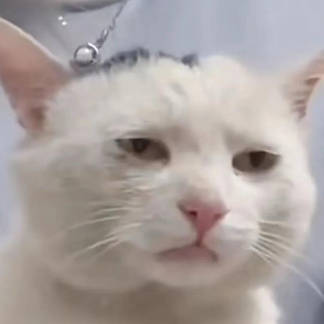 故事结束了
