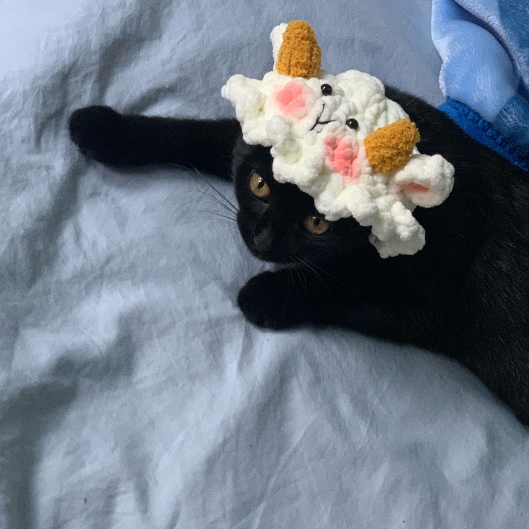 花开富贵🌸（减肥版）