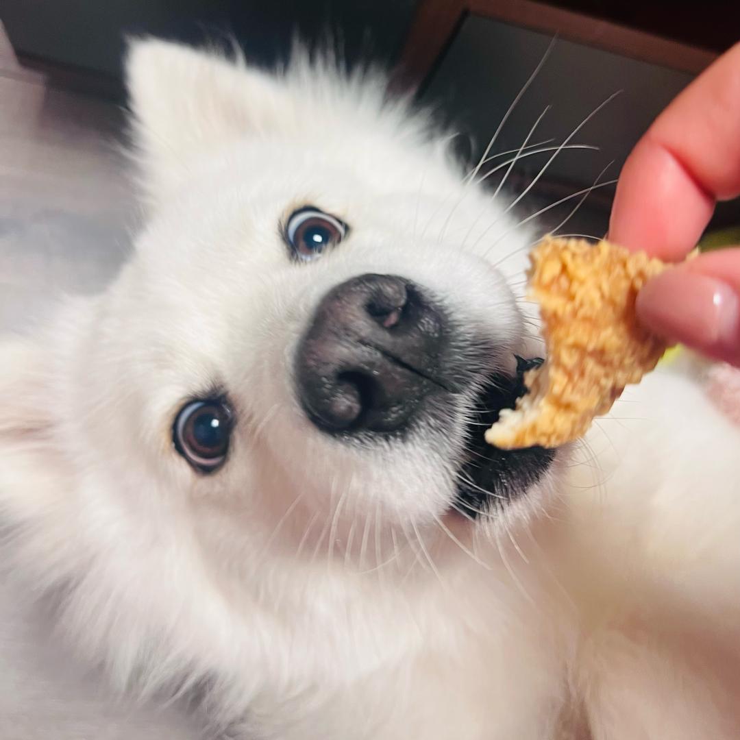 吾家有逆女乐乐