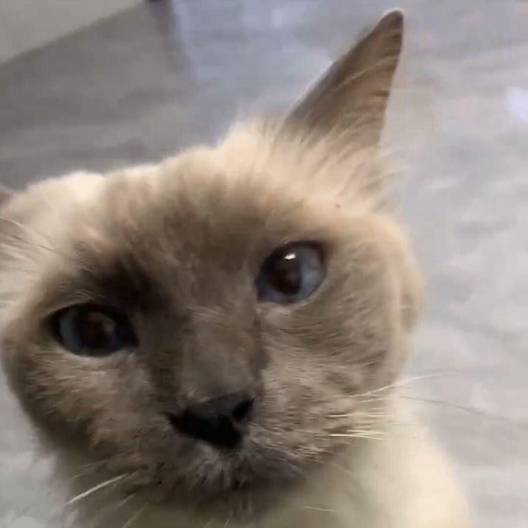 人一定要靠自己！