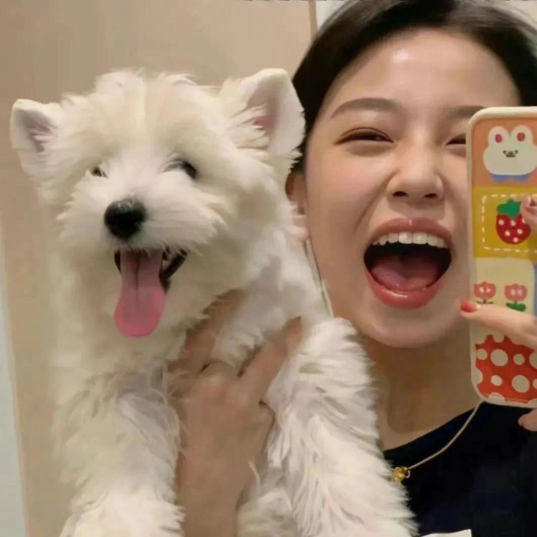 不想吃的巧克力