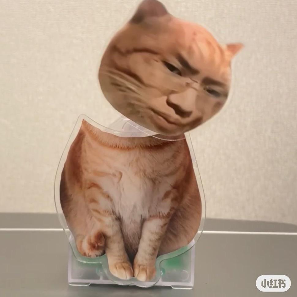 QuanQuan宝