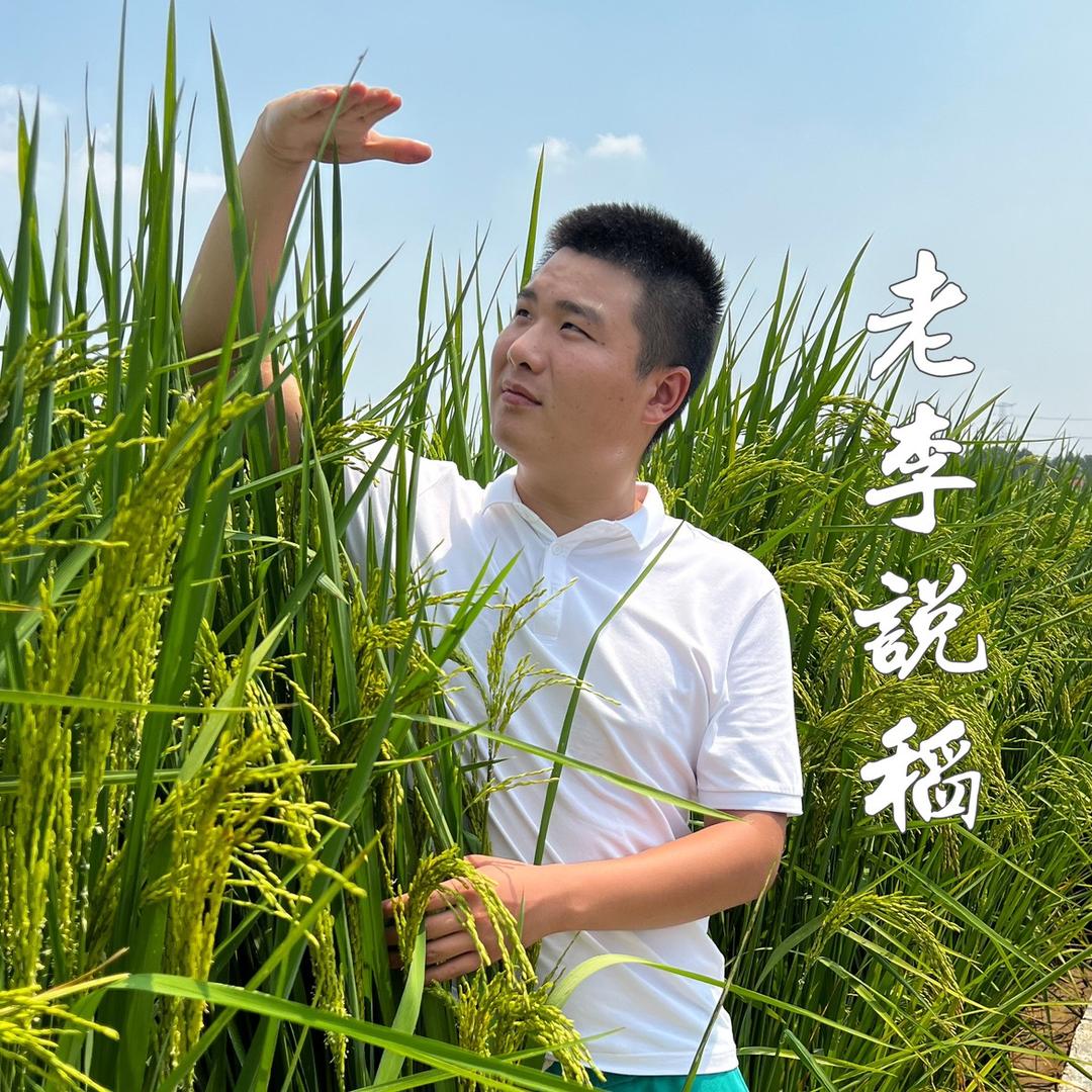 老李说稻