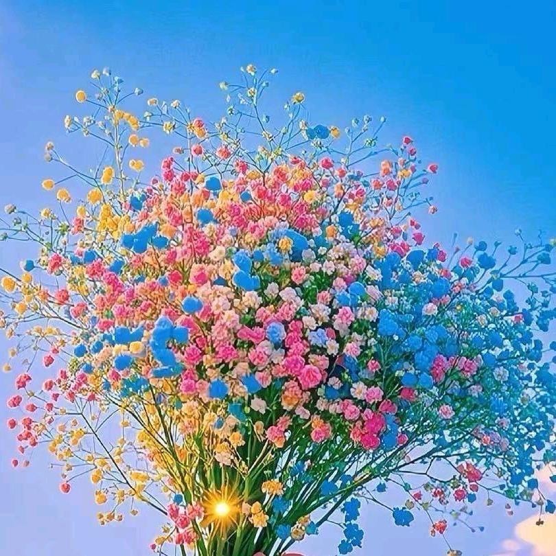 🍀郭郭💫