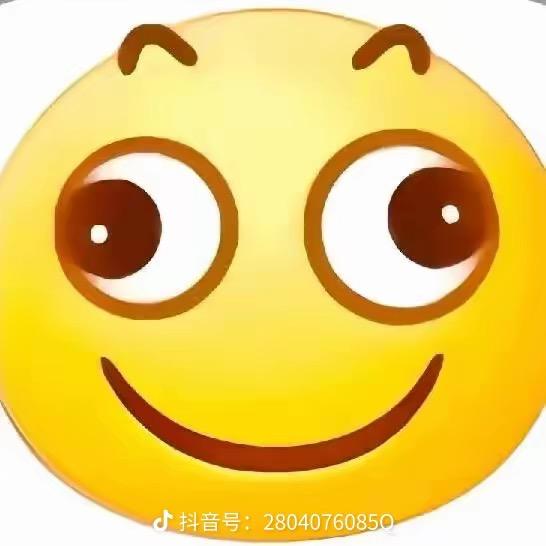 暗香盈袖