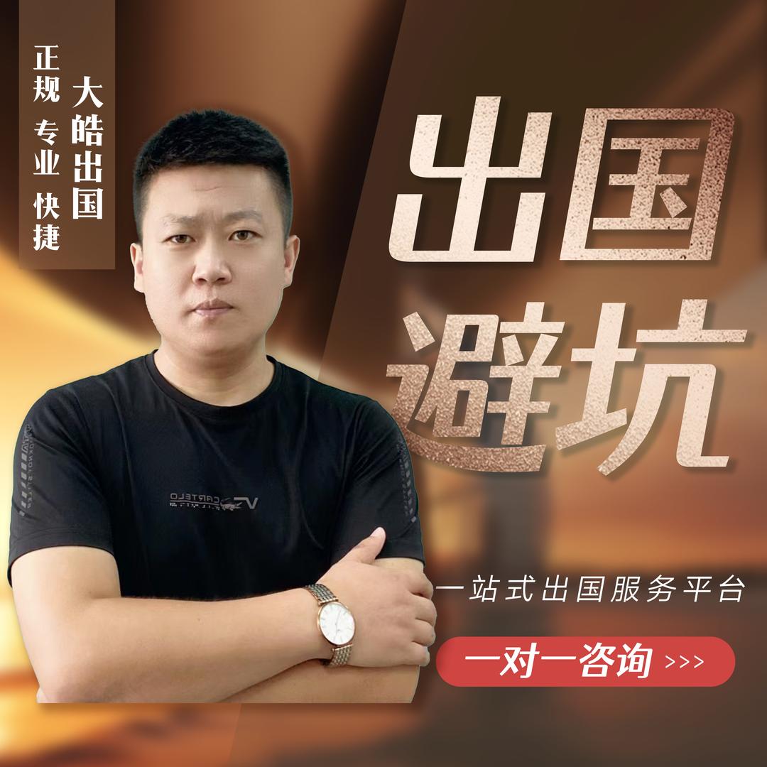 皓说出国