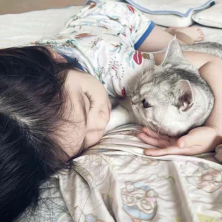 妙舞-苏芮萱