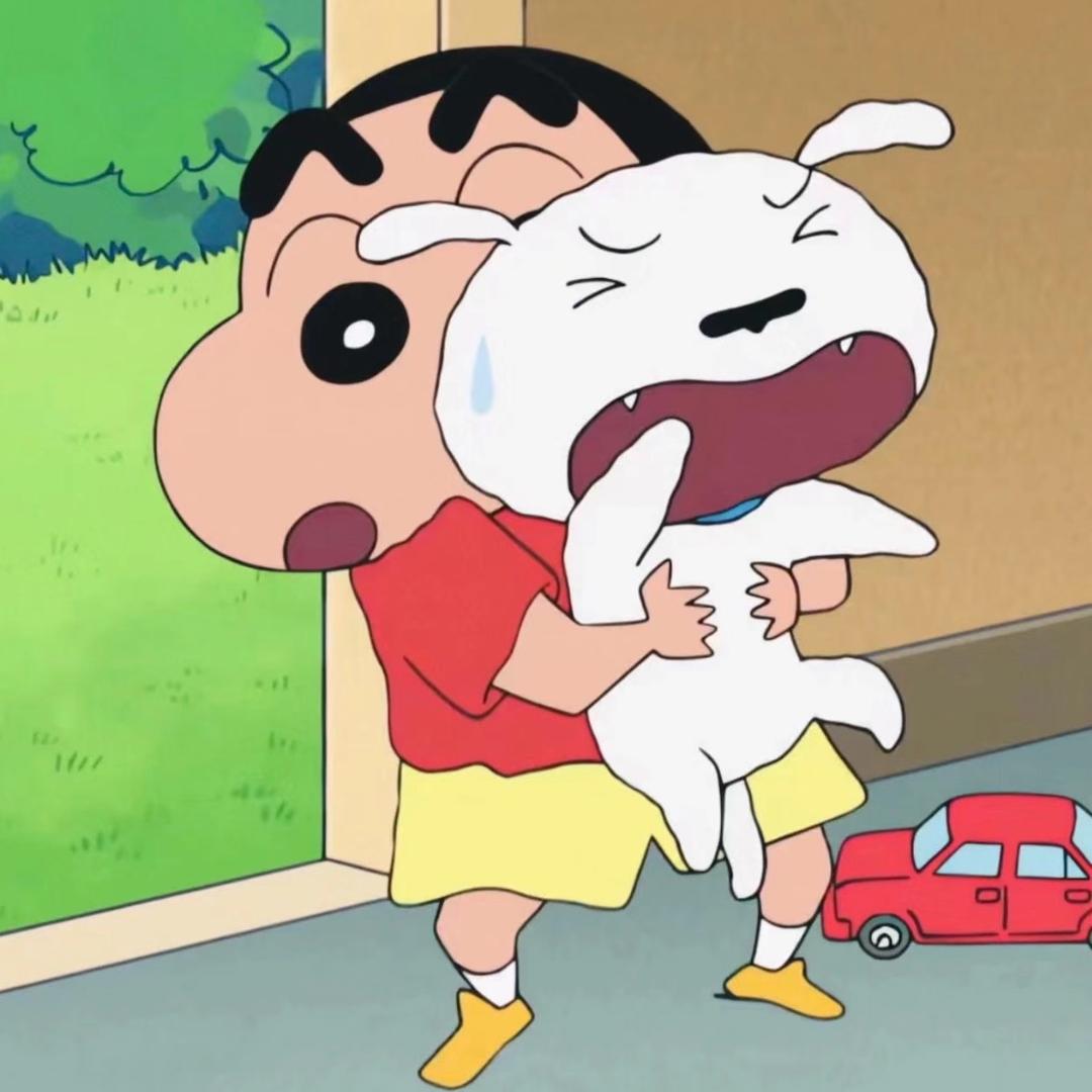 清澈的黄鼠狼🐹