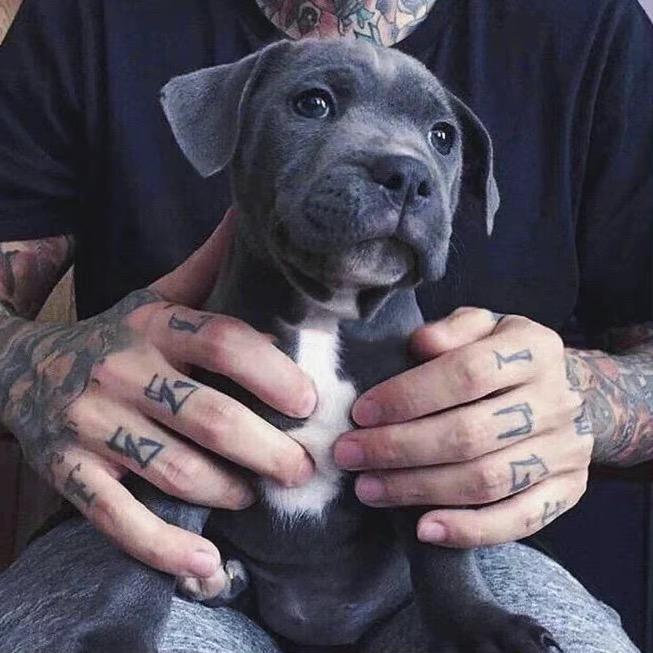 壹玖柒肆丨脸红