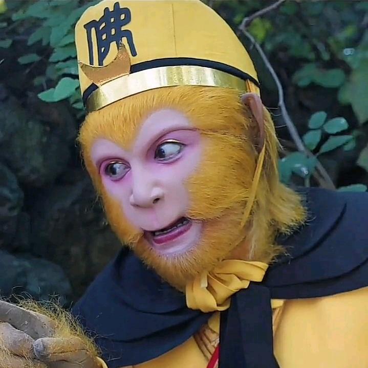 用户003「体力猴团队」