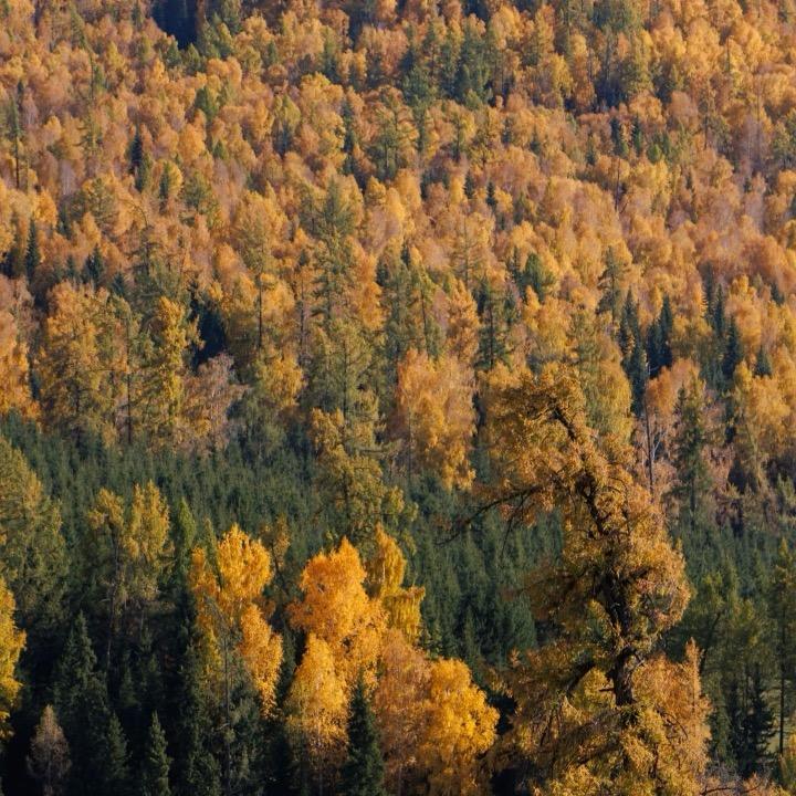 辰光纪国际旅游社