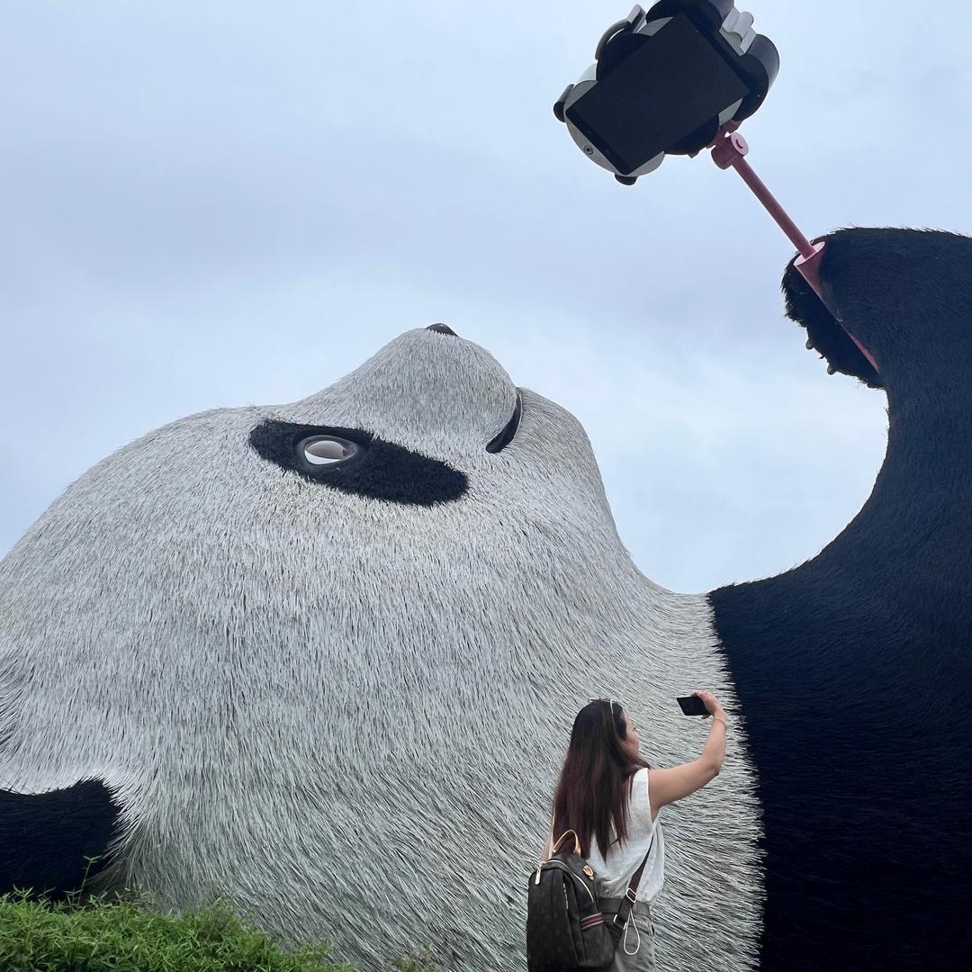 开心快乐🌹🌹