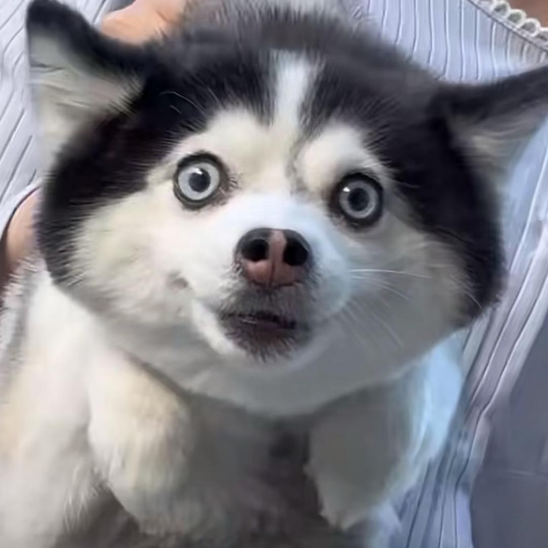 故人